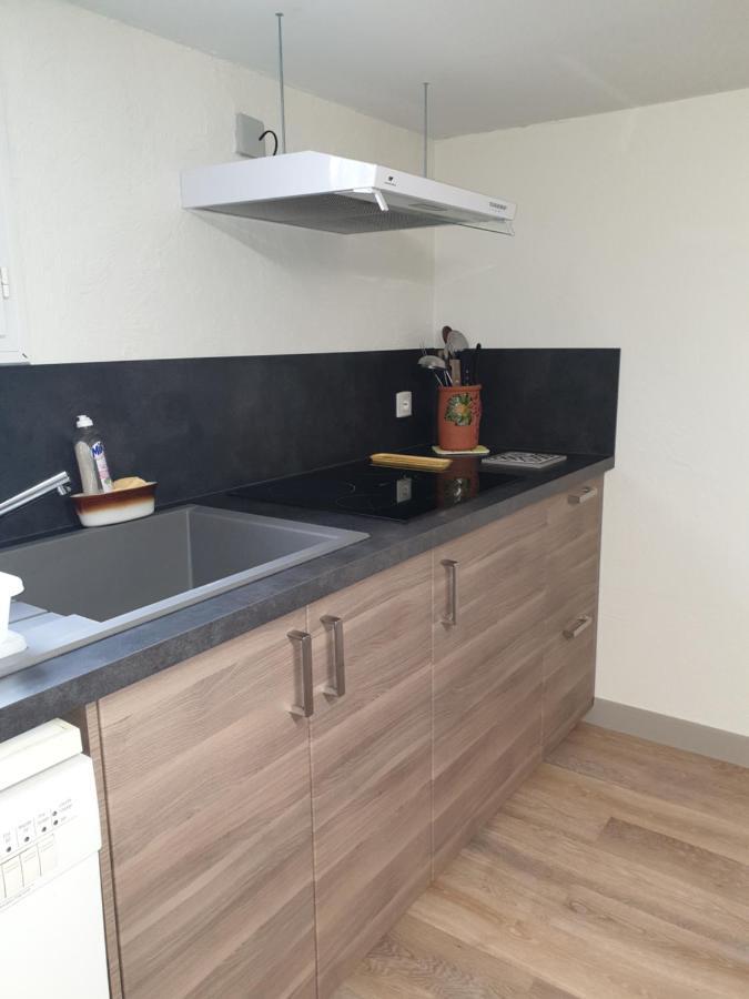 T1 Dans Maison Au Calme Réalmont 외부 사진